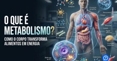 Representação hiper-realista do metabolismo humano, mostrando nutrientes provenientes dos alimentos sendo transformados em energia dentro das células, com destaque para ATP, músculos, fígado, cérebro e sistema digestório.